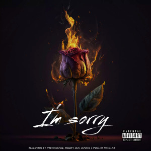 Listen to I'm Sorry (Explicit) song with lyrics from BlaqWords