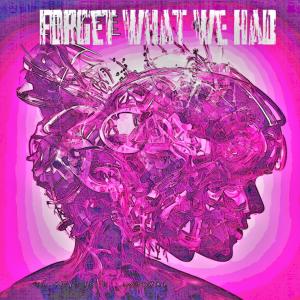 收聽Lil Fan的Forget What We Had歌詞歌曲