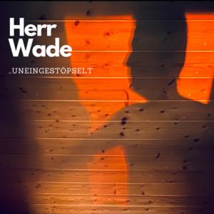 收聽Herr Wade的Meine Hydratation (uneingestöpselt)歌詞歌曲