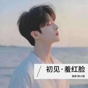 Dengarkan 初见•羞红脸 (完整版) lagu dari 辞小陌 dengan lirik
