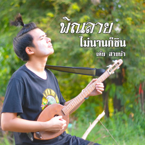 ดาวน์โหลดและฟังเพลง พิณลาย ไม่นานก็ชิน พร้อมเนื้อเพลงจาก เต้ย สายบ้า