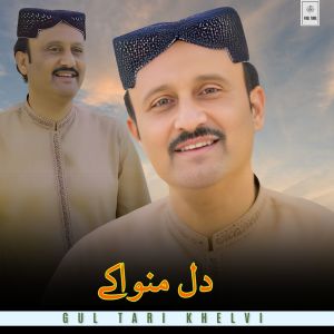 Gul Tari Khelvi的專輯Dil Manwa K