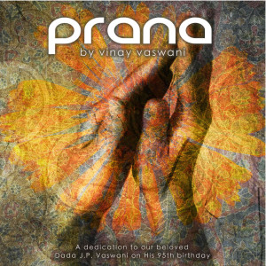 Dengarkan Aum Namo Bhagavate (Echoes of the Universe) lagu dari Vinay Vaswani dengan lirik