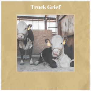Album Truck Grief from Various