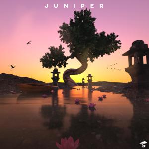 收聽Archr的Fallen Orange Blossom歌詞歌曲