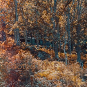 收听Leory Anderson的Sleigh Ride歌词歌曲