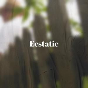 อัลบัม Ecstatic ศิลปิน Various Artists