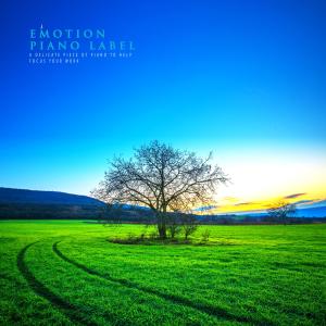 Album A Delicate Piece Of Piano To Help Focus Your Work from Korea Various Artists