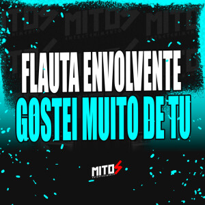 Album Flauta Envolvente Gostei Muito De Tu (Explicit) from DJ Menor A15