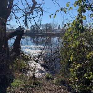 ดาวน์โหลดและฟังเพลง Merienda de faunos พร้อมเนื้อเพลงจาก SUMARUA