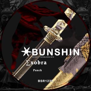 收聽∑xobra的Punch歌詞歌曲
