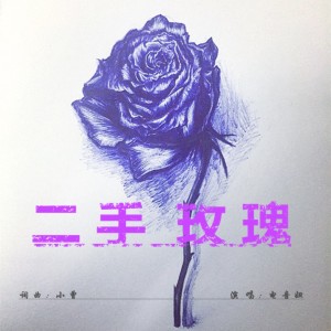 收聽電音妞的二手玫瑰 (伴奏)歌詞歌曲