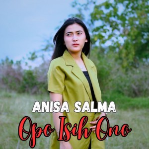 Listen to Opo Isih Ono song with lyrics from Anisa Salma