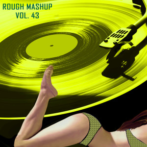 Rough Mashup, Vol. 43 (Extended Instrumental And Drum Track)