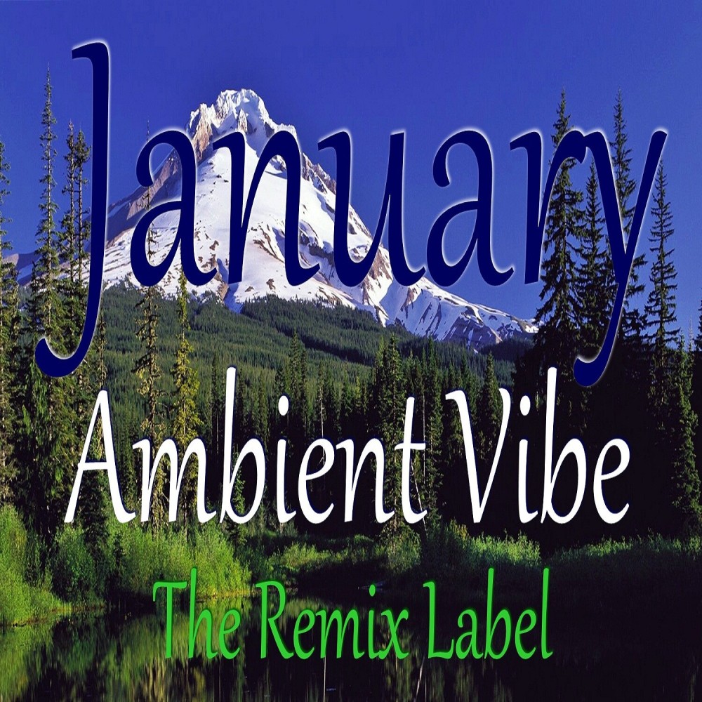 January Vibe (1st Class and Vibrant Deephouse Mix)