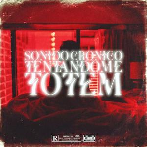 Album Tentándome (Explicit) oleh Totem