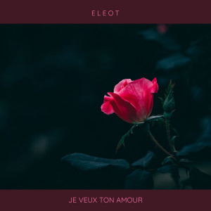 Album Je Veux Ton Amour from Eleot