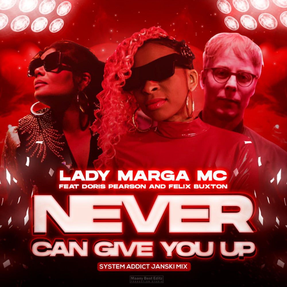 Never Can Give You Up (System Addict Janski Mix)