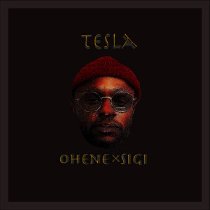 Album Tesla from Sigi