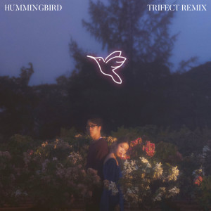 อัลบัม Hummingbird ศิลปิน Trifect