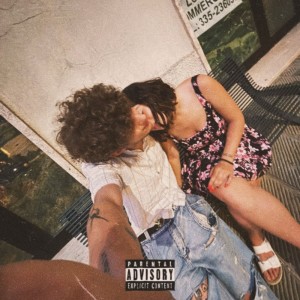 Album FOGLI VIOLA 2 (Explicit) from Goldeiv