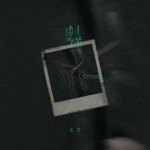 Listen to 成人之美 (伴奏) song with lyrics from 姜泥