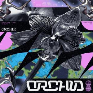 ดาวน์โหลดและฟังเพลง Orchid พร้อมเนื้อเพลงจาก Nautical Divine