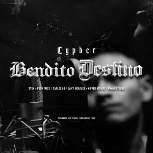 Stek的專輯Bendito Destino Cypher (feat. Stek, Coco Friss, Kipper, Danny Morales & Rohan Stedge) [Explicit]