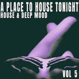 Album A Place to House Tonight, Vol. 5 from Various