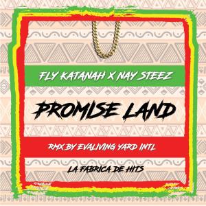 Listen to Promise Land song with lyrics from Fly Katanah