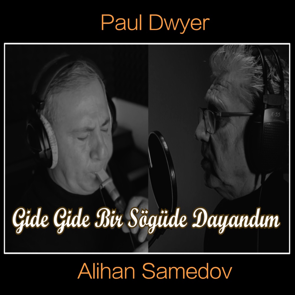 Gide Gide Bir Söğüde Dayandım