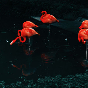 ดาวน์โหลดและฟังเพลง Ohashi พร้อมเนื้อเพลงจาก Lxrd Killa