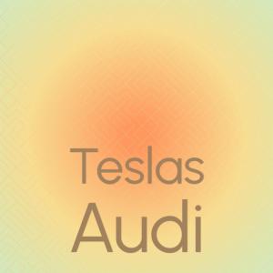 Various的专辑Teslas Audi