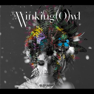 The Winking Owl的專輯BLOOMING