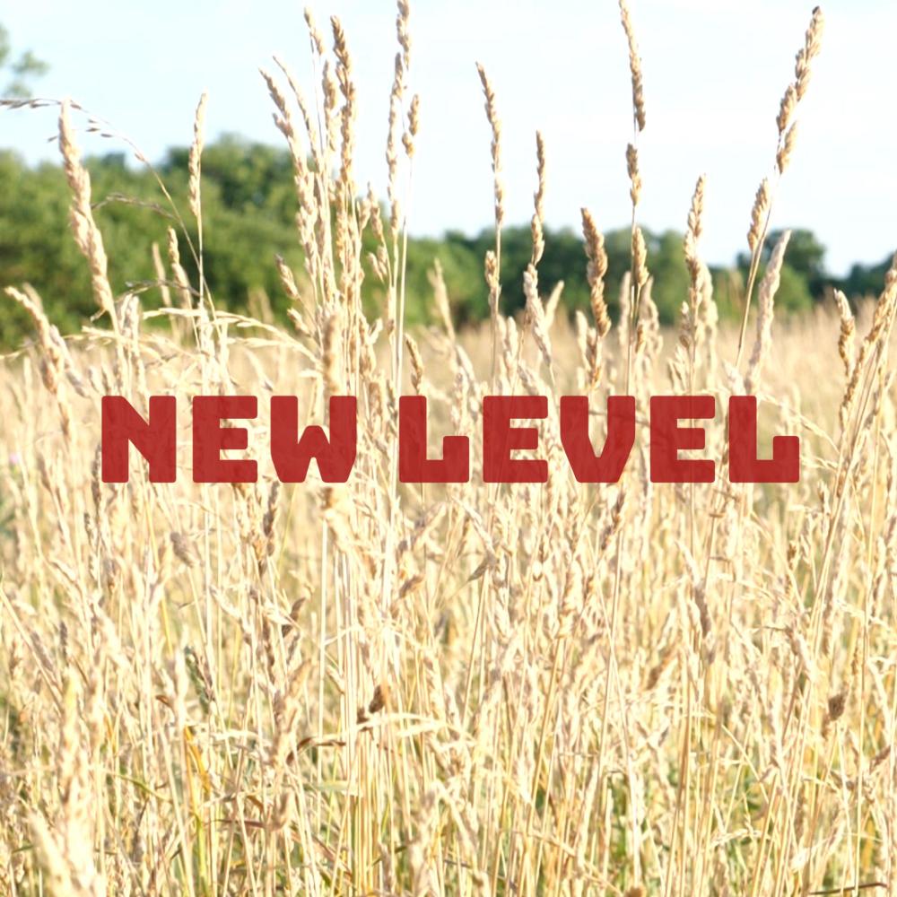 New Level (Explicit)