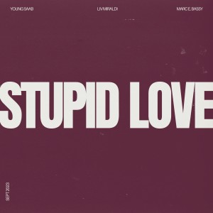 Album Stupid Love from Young Saab