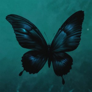 Listen to butterfly effect (Spedup) song with lyrics from ashess (Denis Khmyrov Alexandrovich)