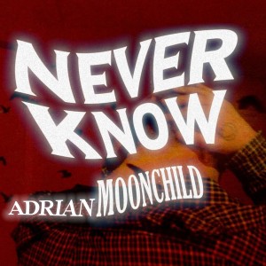 收聽Adrian Moonchild的Never Know (Explicit)歌詞歌曲