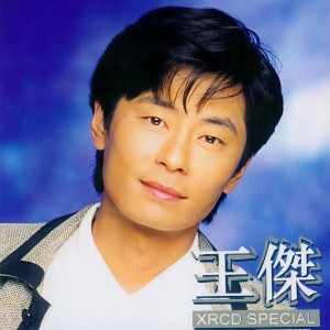 收聽王傑的溫柔的你歌詞歌曲