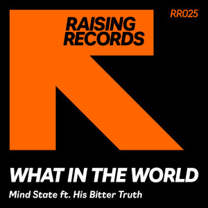 Album What In The World from Mind State