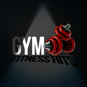 Gym Hits的專輯Gym Fitness Hits