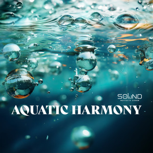 Sound Effects Zone的專輯Aquatic Harmony (ASMR Ripples of Serenity)