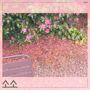 Listen to Beyond song with lyrics from 소소