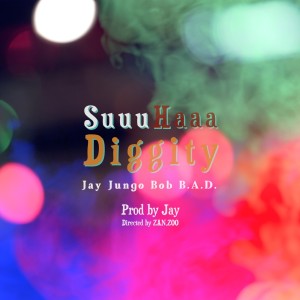 Listen to SuuuHaaa Diggity song with lyrics from Jay