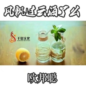 Album 风飘过云海了么 from 李豪