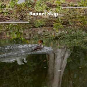 Album Bonnet Skip oleh Various