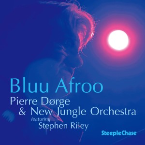 อัลบัม Bluu Afroo ศิลปิน Pierre Dorge