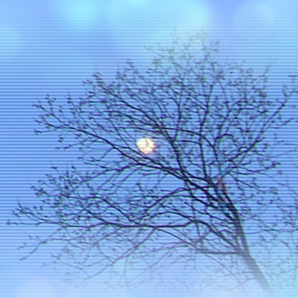 Game Called Love (feat. everestdidthis)