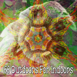 อัลบัม 66 Outdoors for Indoors ศิลปิน Best Relaxing Spa Music