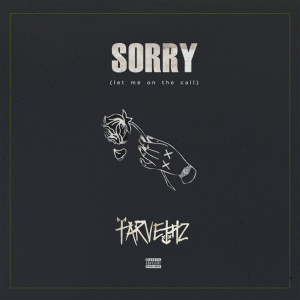 ดาวน์โหลดและฟังเพลง Sorry (Let Me On The Call) (Explicit) พร้อมเนื้อเพลงจาก TARVETHZ